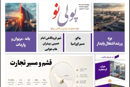 روزنامه پولینو/شماره 17/ 11 تیر 1405