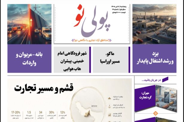 روزنامه پولینو/شماره 17/ 11 تیر 1405